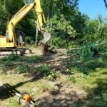 Land Clearing, Moscow PA